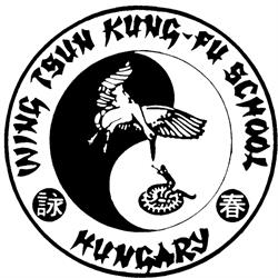 Leung Ting Wing Tsun kung Fu
