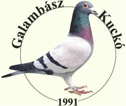 Galambász Kuckó