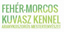 Fehér-Morcos Kuvasz Kennel