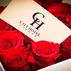City Hotel Szeged***
