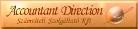 Accountant Direction Kft