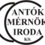 AMI logo