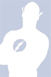 Flashdigital Bt.