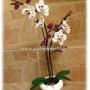 Orchidea gyöngyből