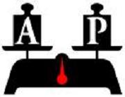 AP Mérleg Bt.