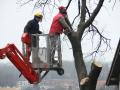 Kosarasemelő