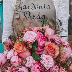 Gardénia Virág Pécs