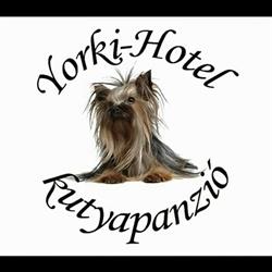 Yorki-Hotel Kiskutyapanzió