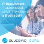 IT Recruitment