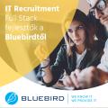 IT-Recruitment