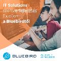 IT-Solution