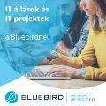 IT-contracting