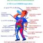 Víz/ Miért fogyasszuk a tiszta vizet!