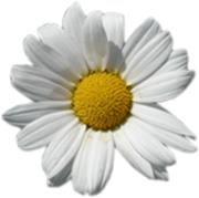 Margaréta Panzió Hajdúnánás