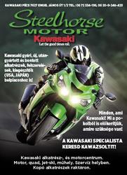 Steelhorse Motor