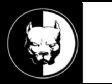 Pitbull-Cartell  Zrt.