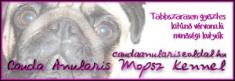 Cauda Anularis Mopsz Kennel