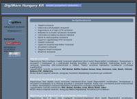 Digiworx Hungary Kft honlapja