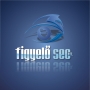 Figyelő-Security Kft
