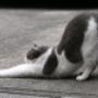 Streching