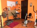 Fitnesz