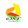 Ost Alternative Energien