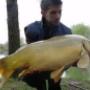 ponty3