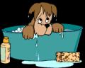 kozmi