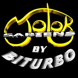 Biturbó Kft
