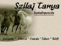 Szilajtanya Kft