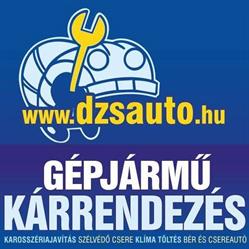 D-ZS AUTÓ KFT