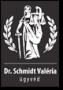 Dr. Schmidt Valéria ügyvéd