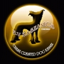 Fundoklia-Völgyi Kaszanics Kínai Meztelen Kutya Kennel