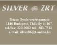 Silver Dgy Zrt