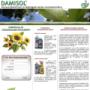 Damisol Kft. - honlap - www.damisol.hu