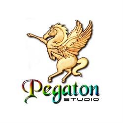 Pegaton Studio Kft.