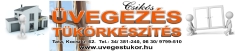Üveg És Tükör