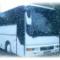 Busz