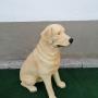 Labrador figura