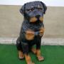 Rottweiller figura - ülő