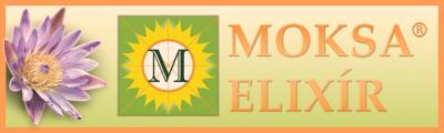 4-1-Moksa-Akció