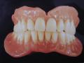 Trans & Dental Bt