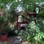 Pagoda