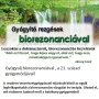 Gyógyerő Egészségközpont