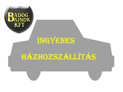 házhozszállítás
