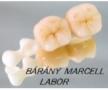 Bárány Marcell Labor