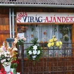 BÓDIS ÉS BÓDIS KFT