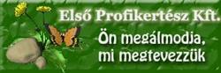 Első Profikertész Kft.