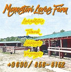 Monostroi Lovas Farm