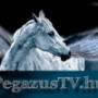 PegazusTv